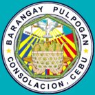 pulpoganconsolacion.com